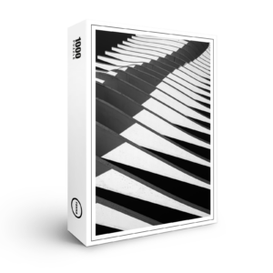 raxxa Premium-Puzzle: Schattenspiel