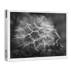 raxxa Premium-Puzzle: Wiesenbocksbart