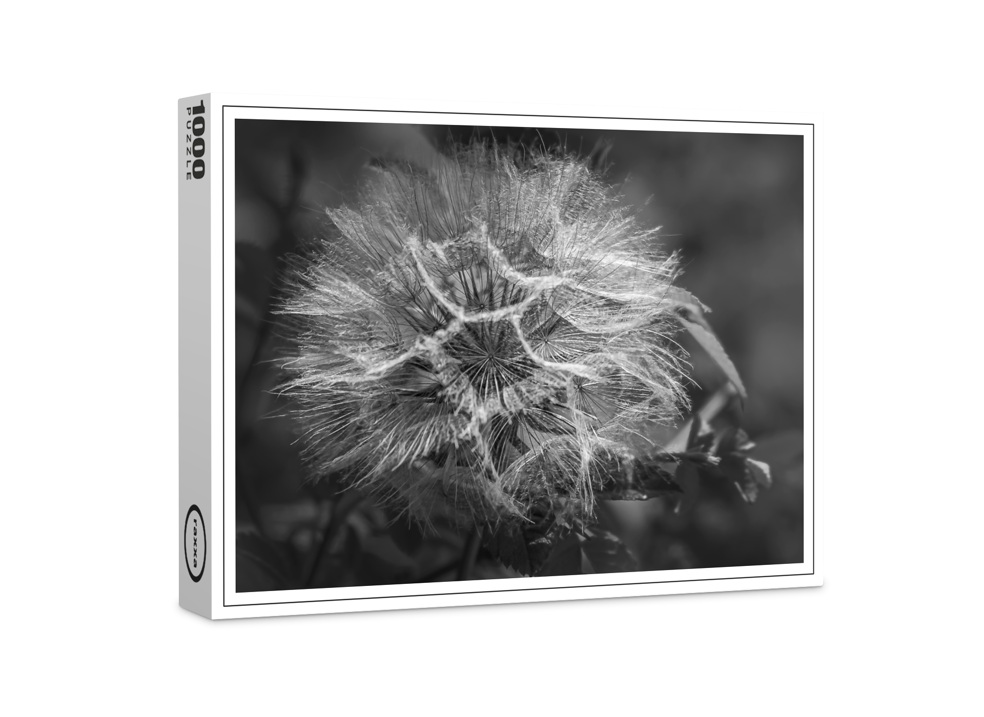 raxxa Premium-Puzzle: Wiesenbocksbart