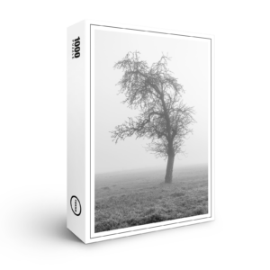 raxxa Premium-Puzzle: im Morgennebel