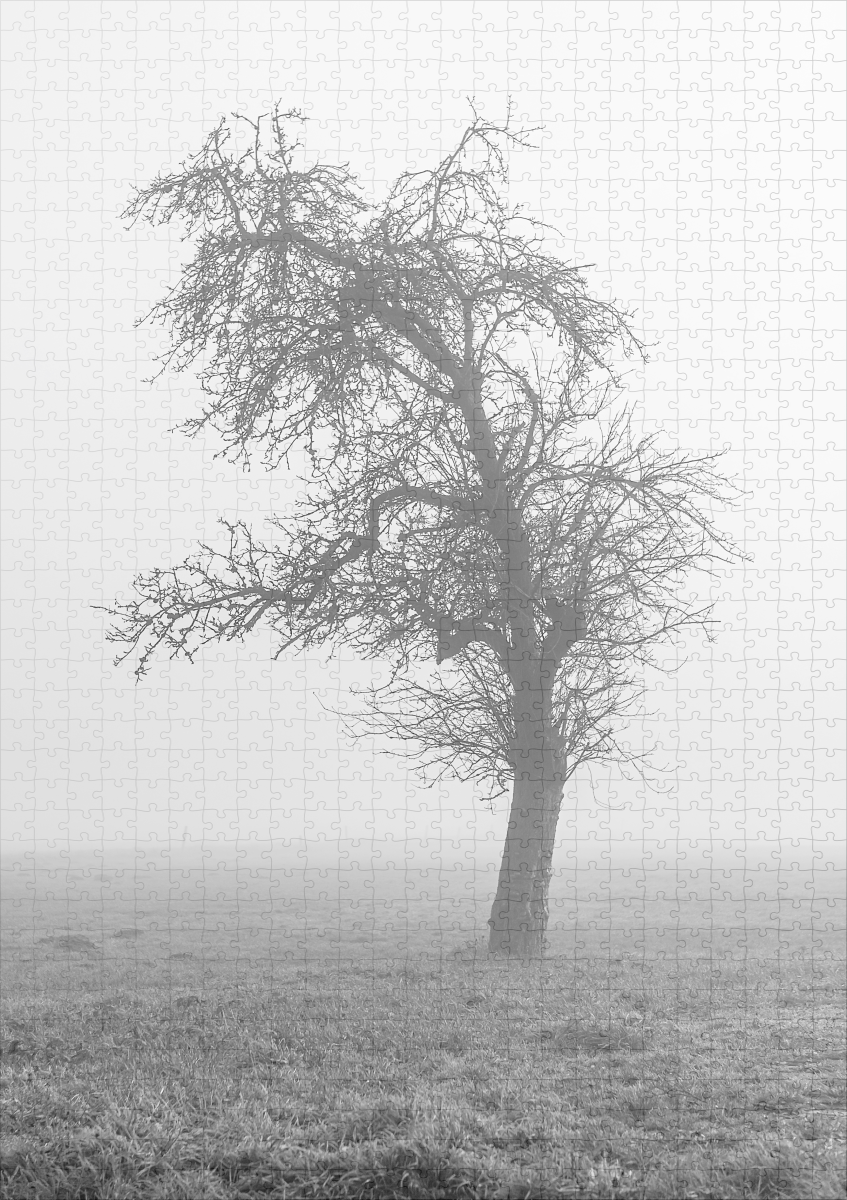 raxxa Premium-Puzzle: im Morgennebel – Bild 2