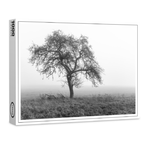 raxxa Premium-Puzzle: ein Baum im Nebel