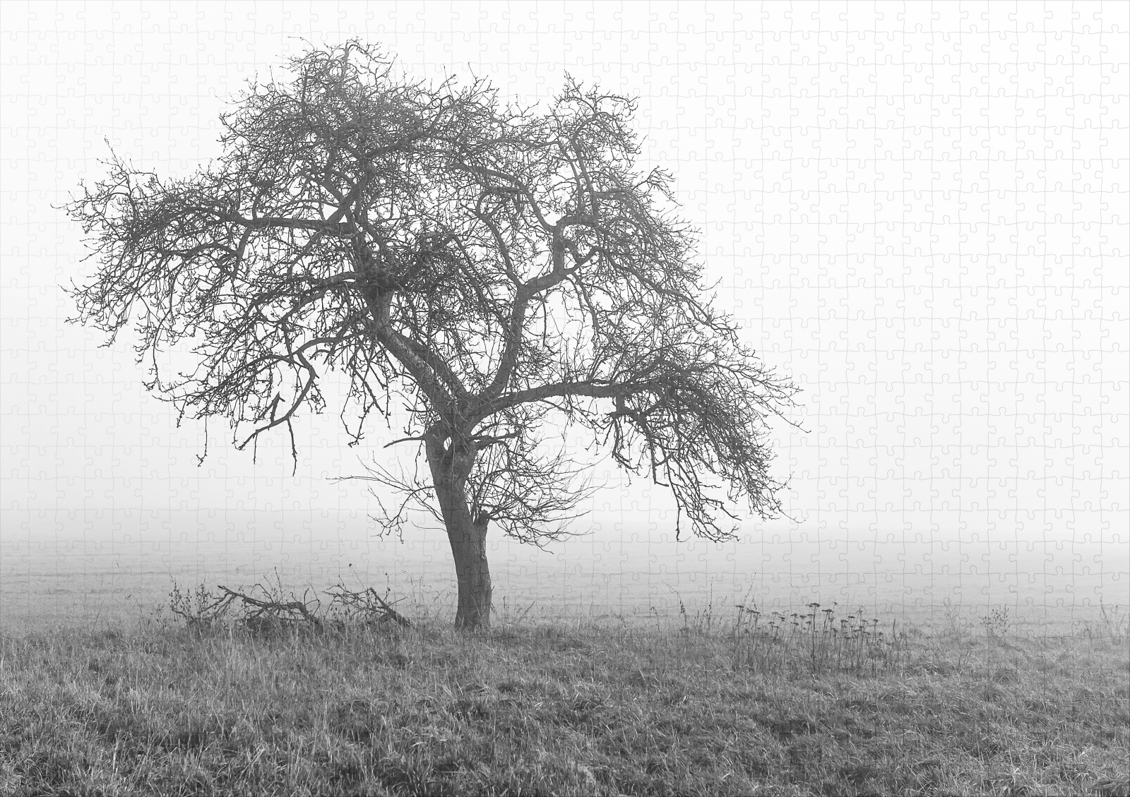 raxxa Premium-Puzzle: ein Baum im Nebel - immagine 2