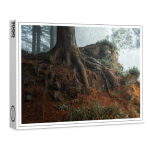 raxxa Premium-Puzzle: Märchenwald
