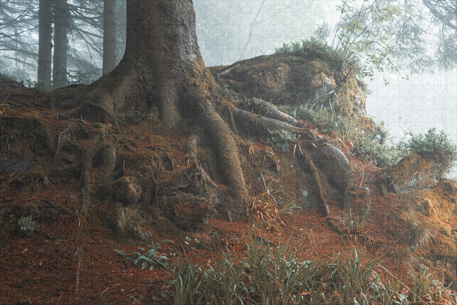 raxxa Premium-Puzzle: Märchenwald - immagine 2