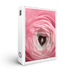 raxxa Premium-Puzzle: Ranunkel