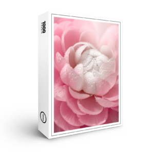 raxxa Premium-Puzzle: Zarte Blume
