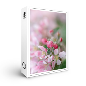 raxxa Premium-Puzzle: Blütenpracht
