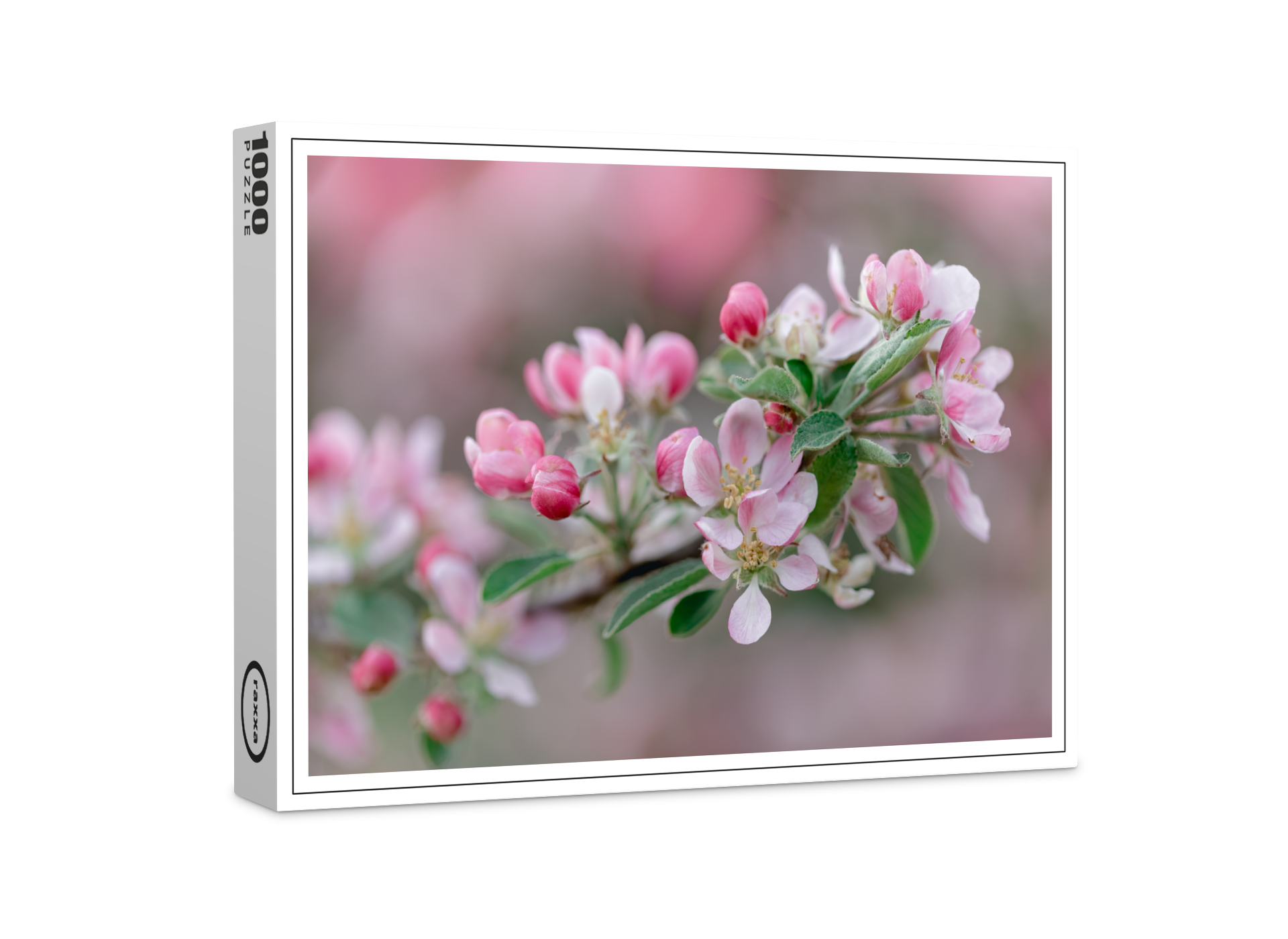 raxxa Premium-Puzzle: Apfelblüte