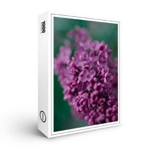 raxxa Premium-Puzzle: Flieder