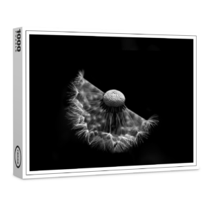 raxxa Premium-Puzzle: Pusteblume 4