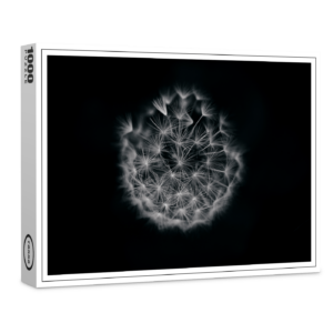raxxa Premium-Puzzle: Pusteblume 3