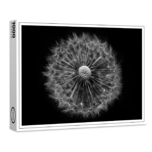 raxxa Premium-Puzzle: Pusteblume 2