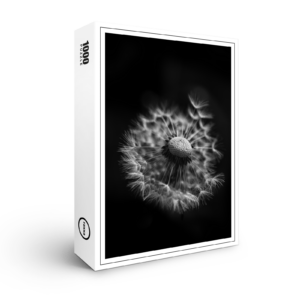 raxxa Premium-Puzzle: Pusteblume 1