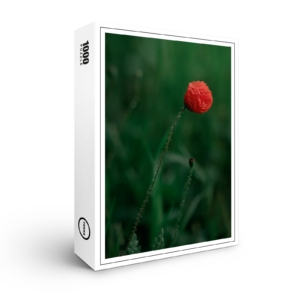 raxxa Premium-Puzzle: Aufgeblüht