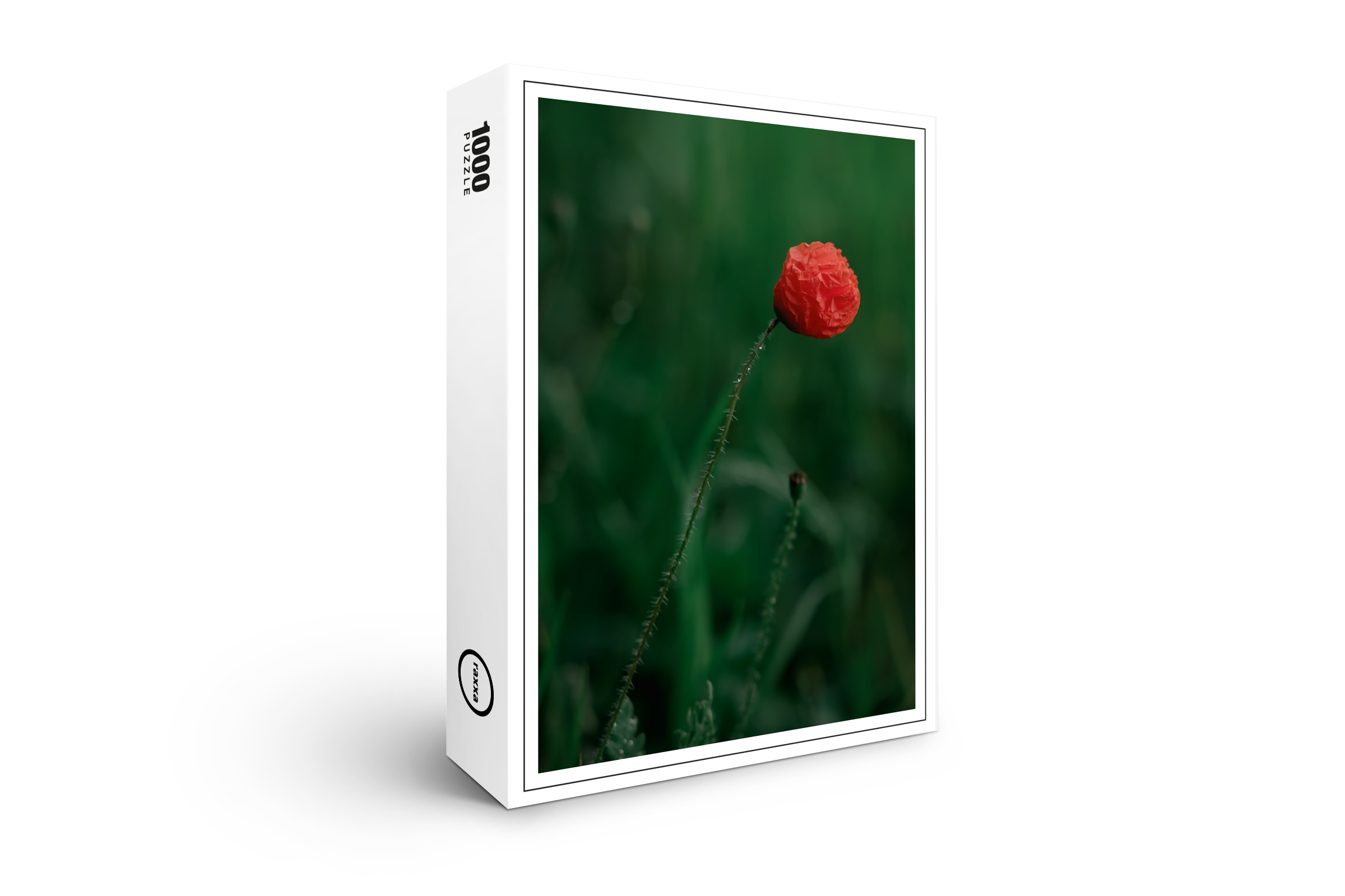 raxxa Premium-Puzzle: Aufgeblüht