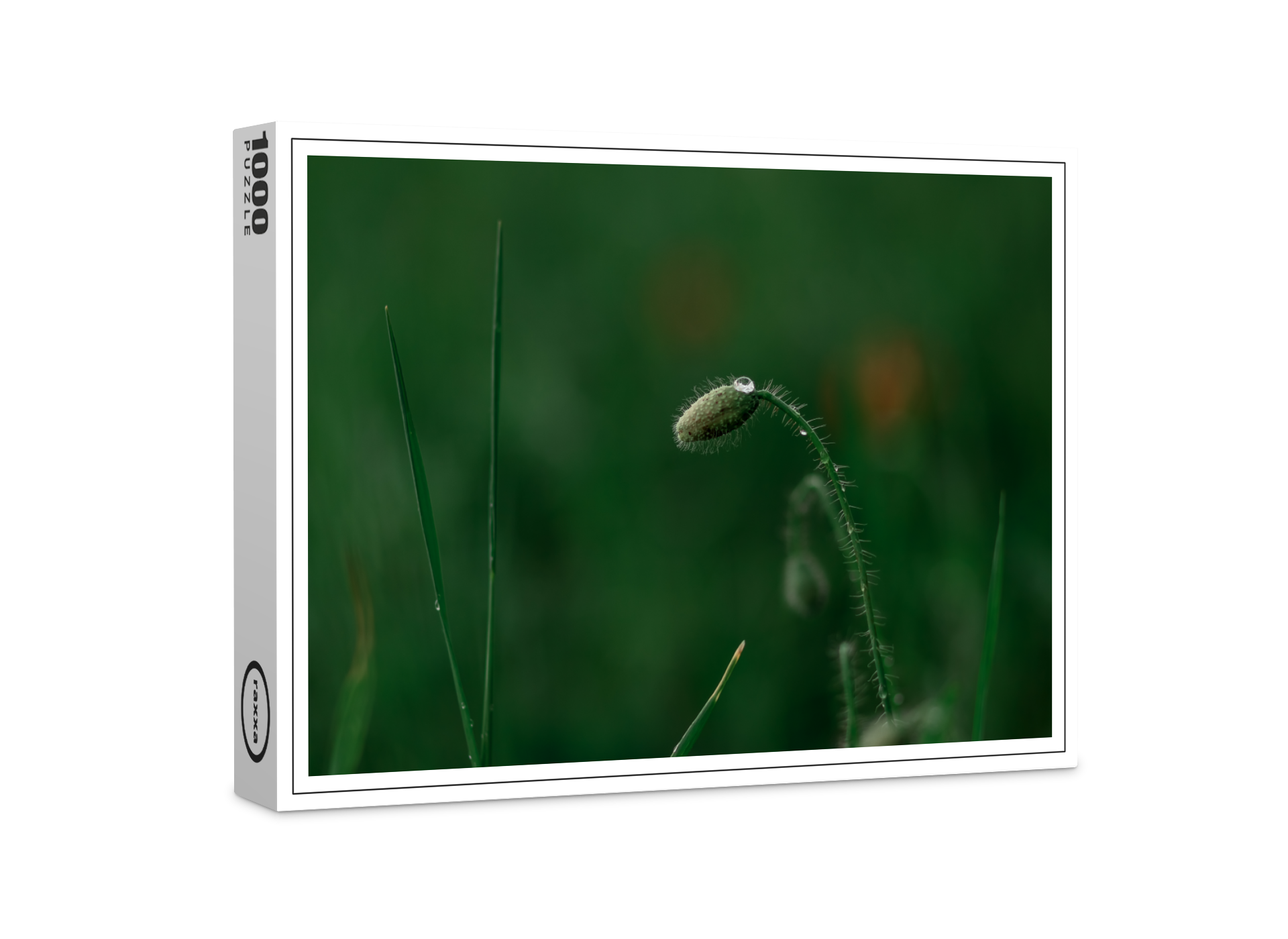 raxxa Premium-Puzzle: Knospe mit Morgentau