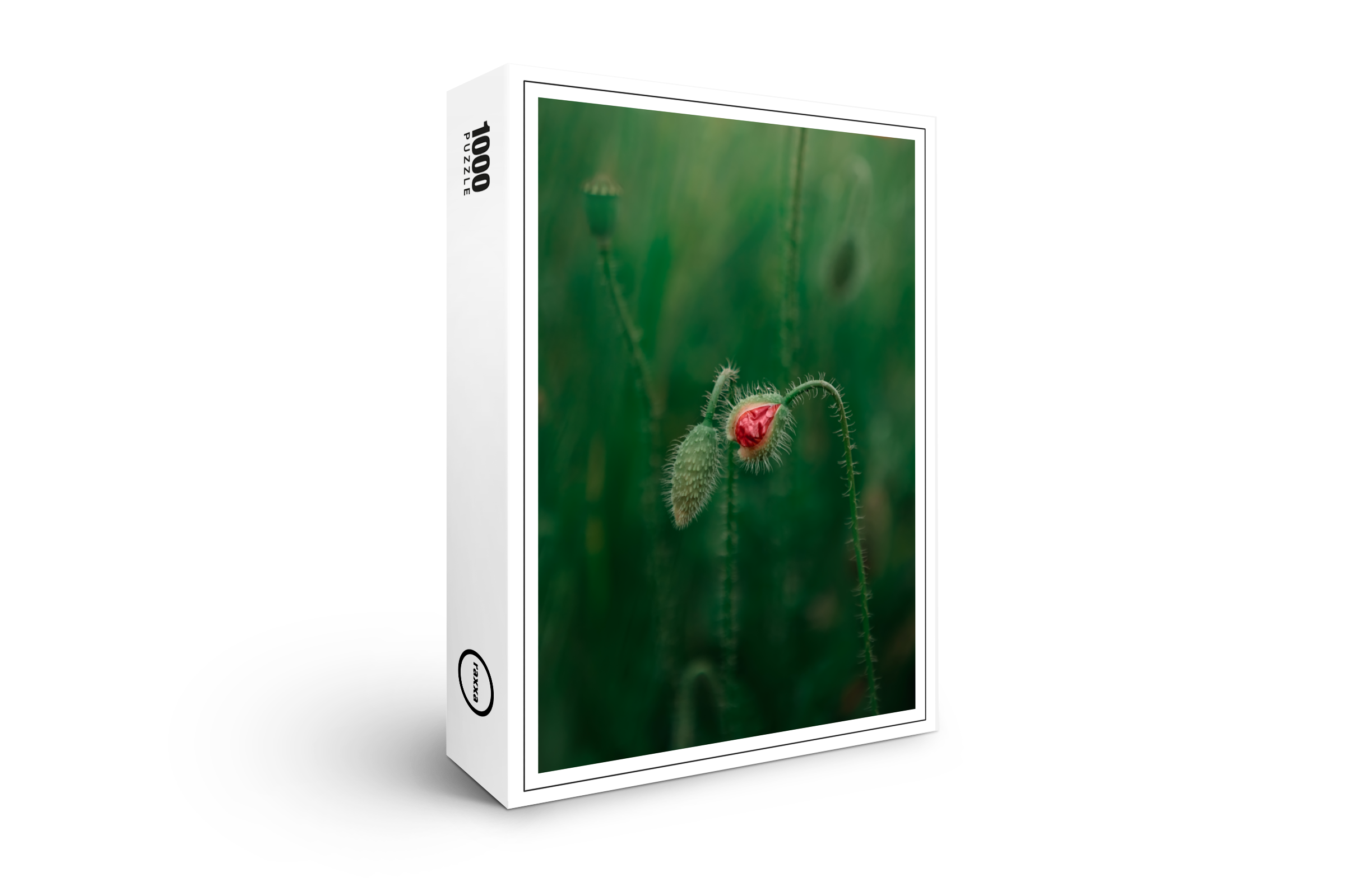 raxxa Premium-Puzzle: Das Aufblühen