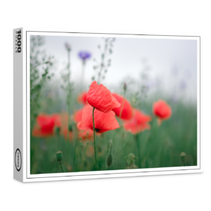 raxxa Premium-Puzzle: Klatschmohn