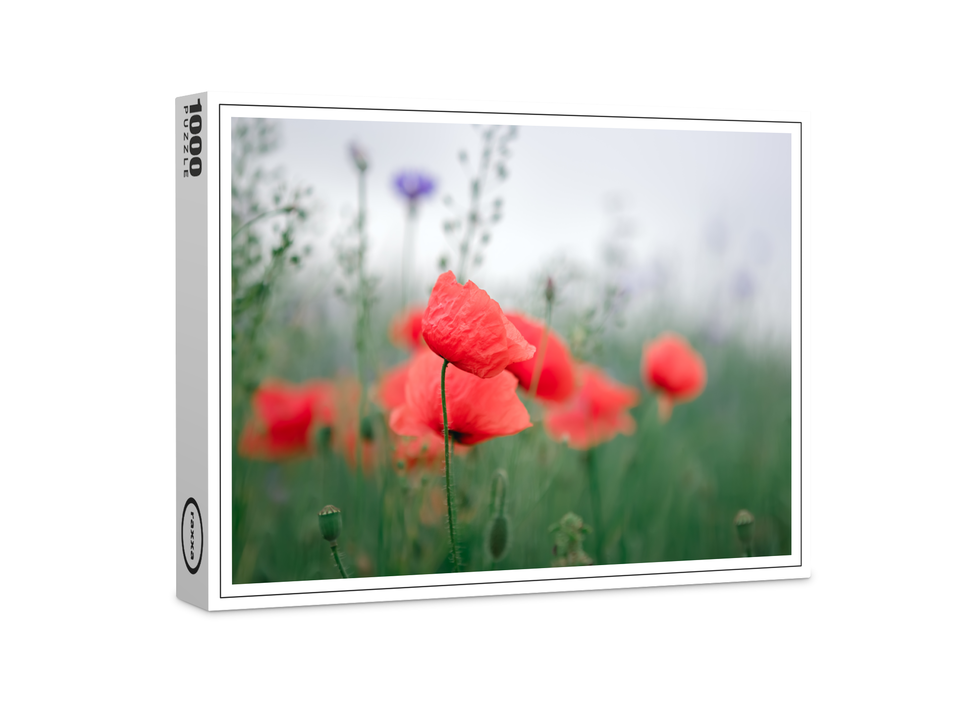 raxxa Premium-Puzzle: Klatschmohn