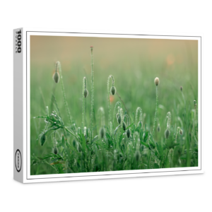 raxxa Premium-Puzzle: Mohnblumenwiese