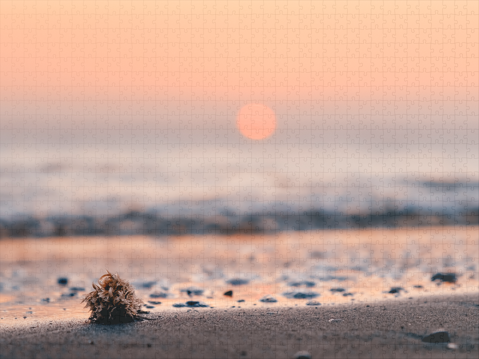 raxxa Premium-Puzzle: Sunset on the Beach - immagine 2