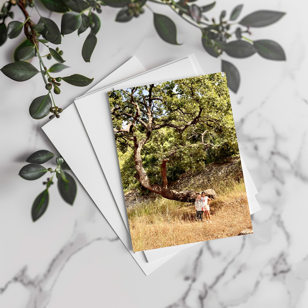 raxxa Postkarte: Tausendjährige Eiche - Image 3