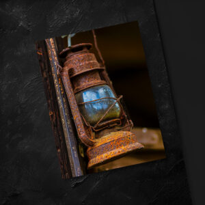 raxxa Postkarte: Fang das Licht