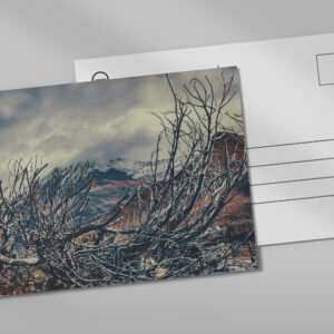 raxxa Postkarte: Verwurzelt