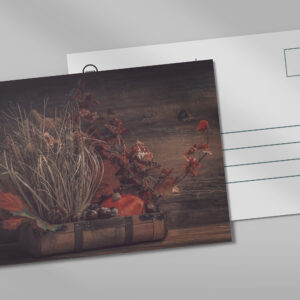 raxxa Postkarte: Neues Bild