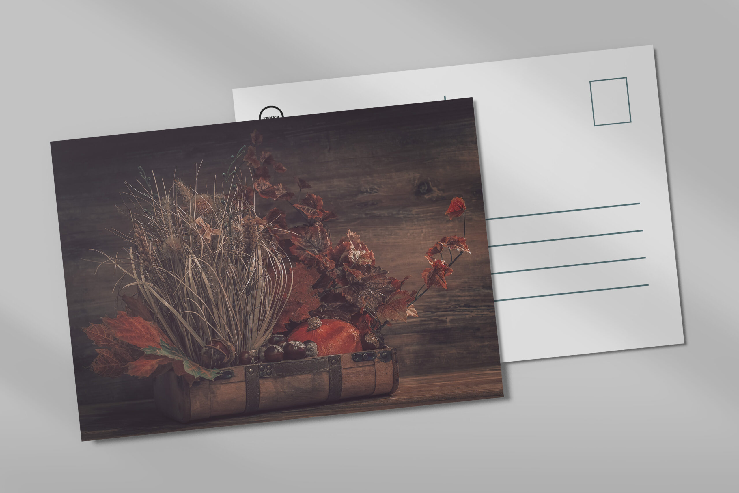 raxxa Postkarte: Neues Bild