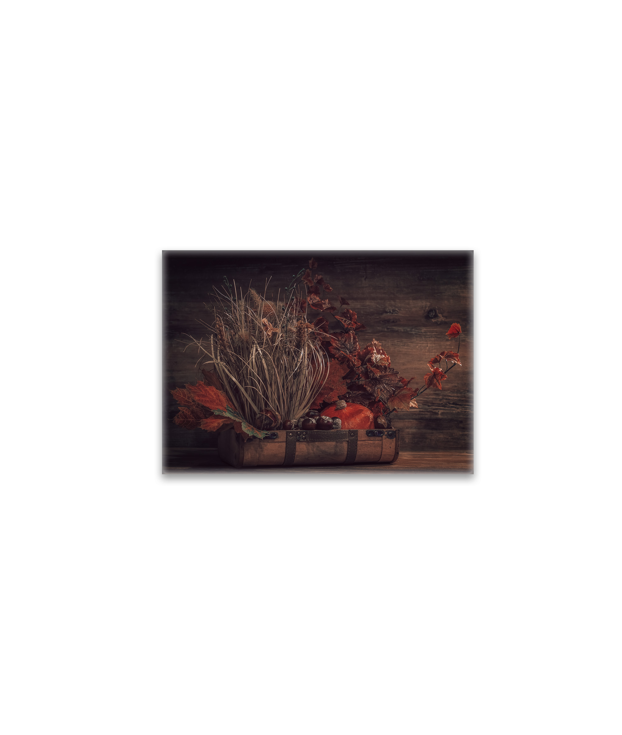 raxxa Glas-Magnet: Distel Zauber