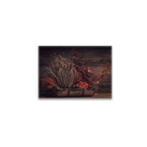 raxxa Glas-Magnet: Neues Bild