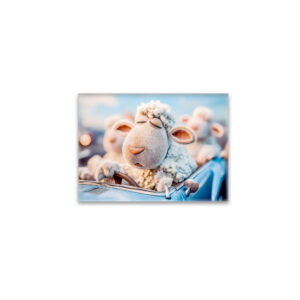 raxxa Glas-Magnet: Sheep sleeping at car steering wheel illustration