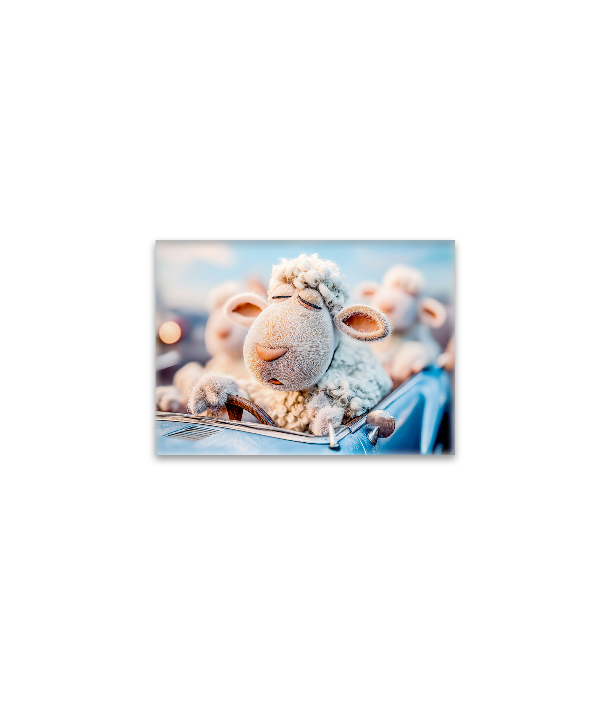 raxxa Glas-Magnet: Sheep sleeping at car steering wheel illustration