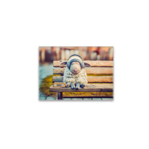 raxxa Glas-Magnet: Sheep napping with headphones bench