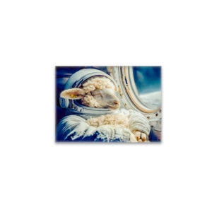 raxxa Glas-Magnet: Astronaut sheep drifting in outer space