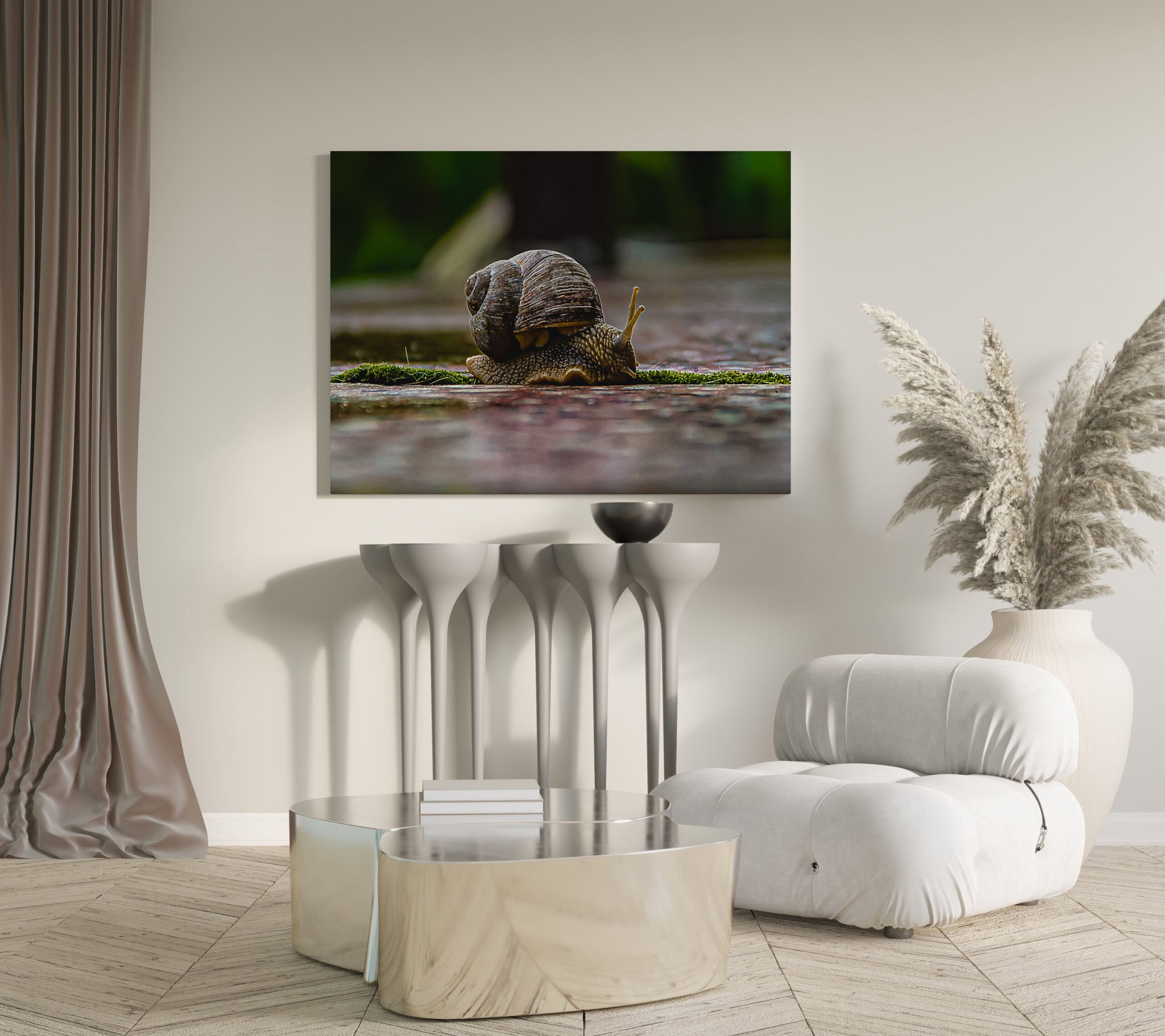 raxxa Canva: Schnecke