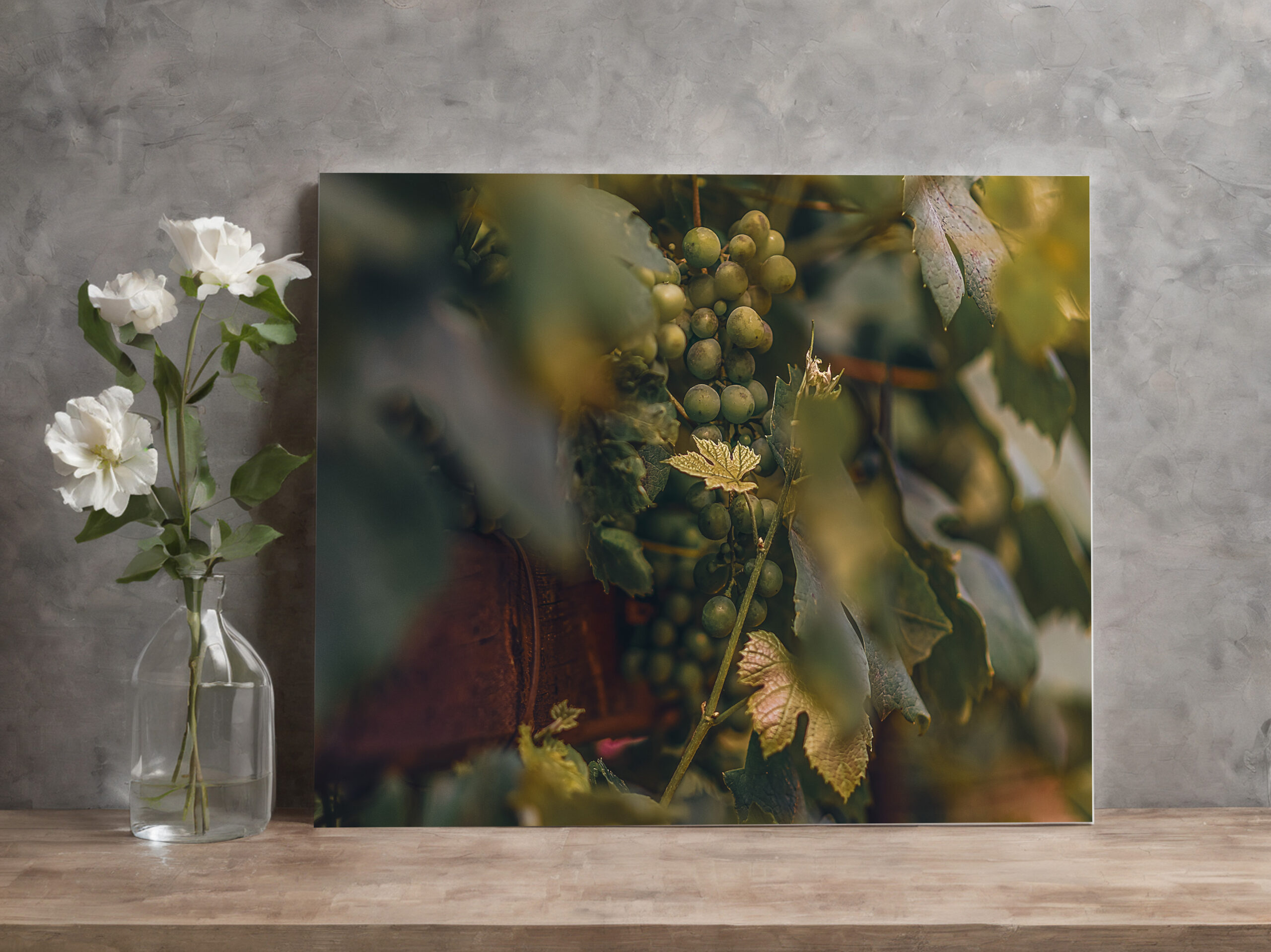 raxxa Canva: Carpe vinum!