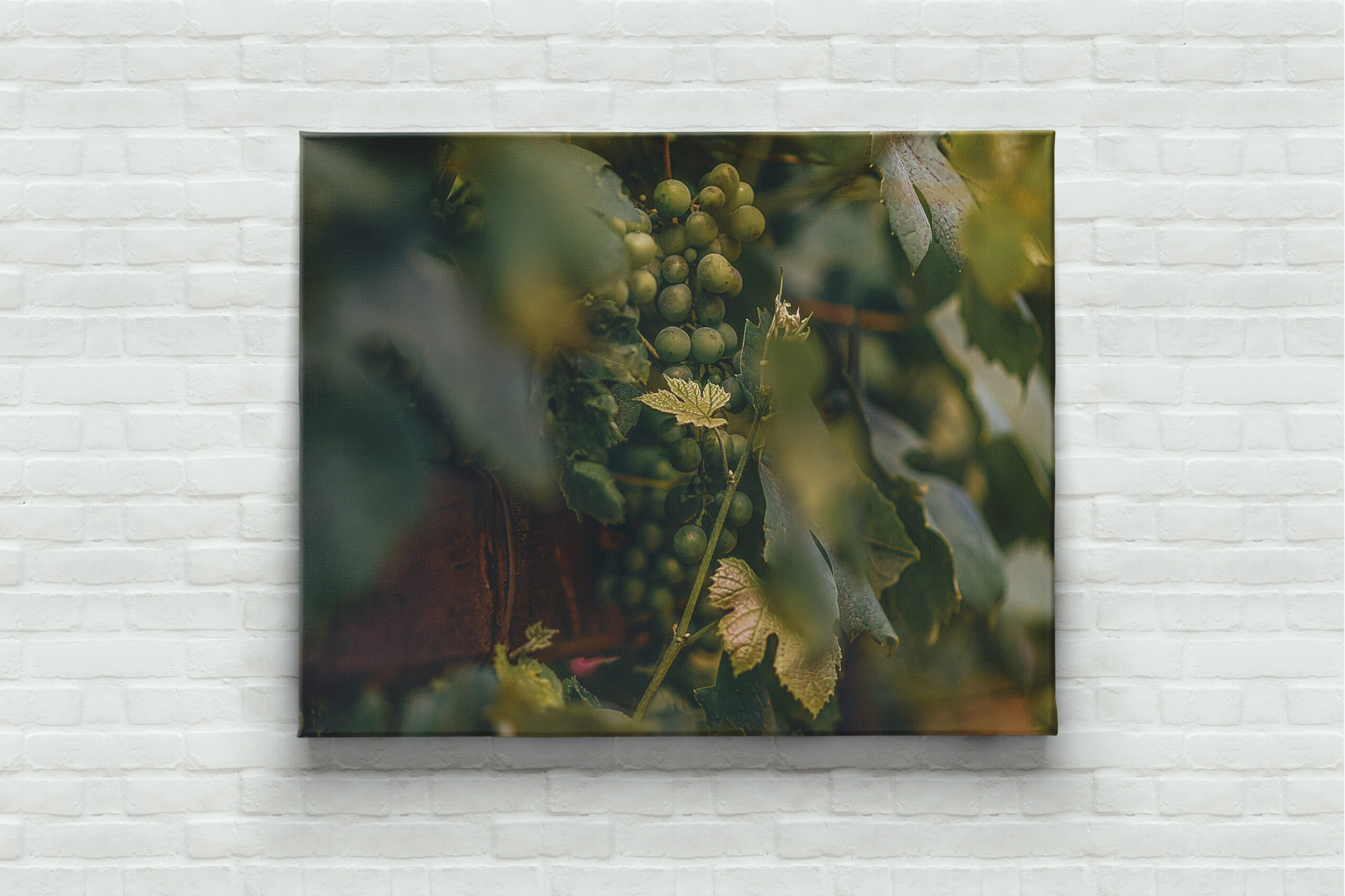raxxa Canva: Carpe vinum! - immagine 3
