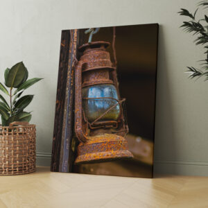 raxxa Canva: Fang das Licht