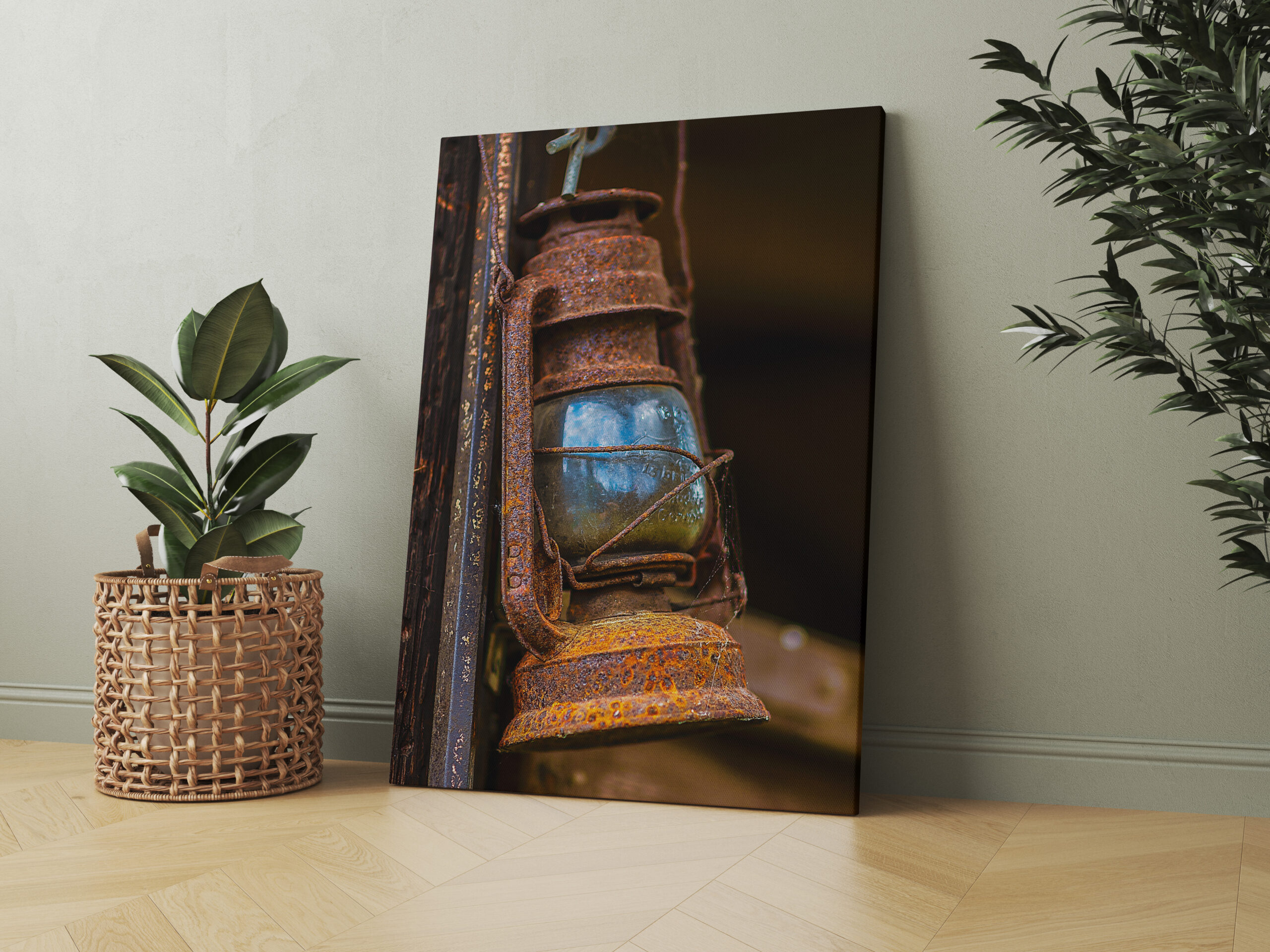 raxxa Canva: Fang das Licht