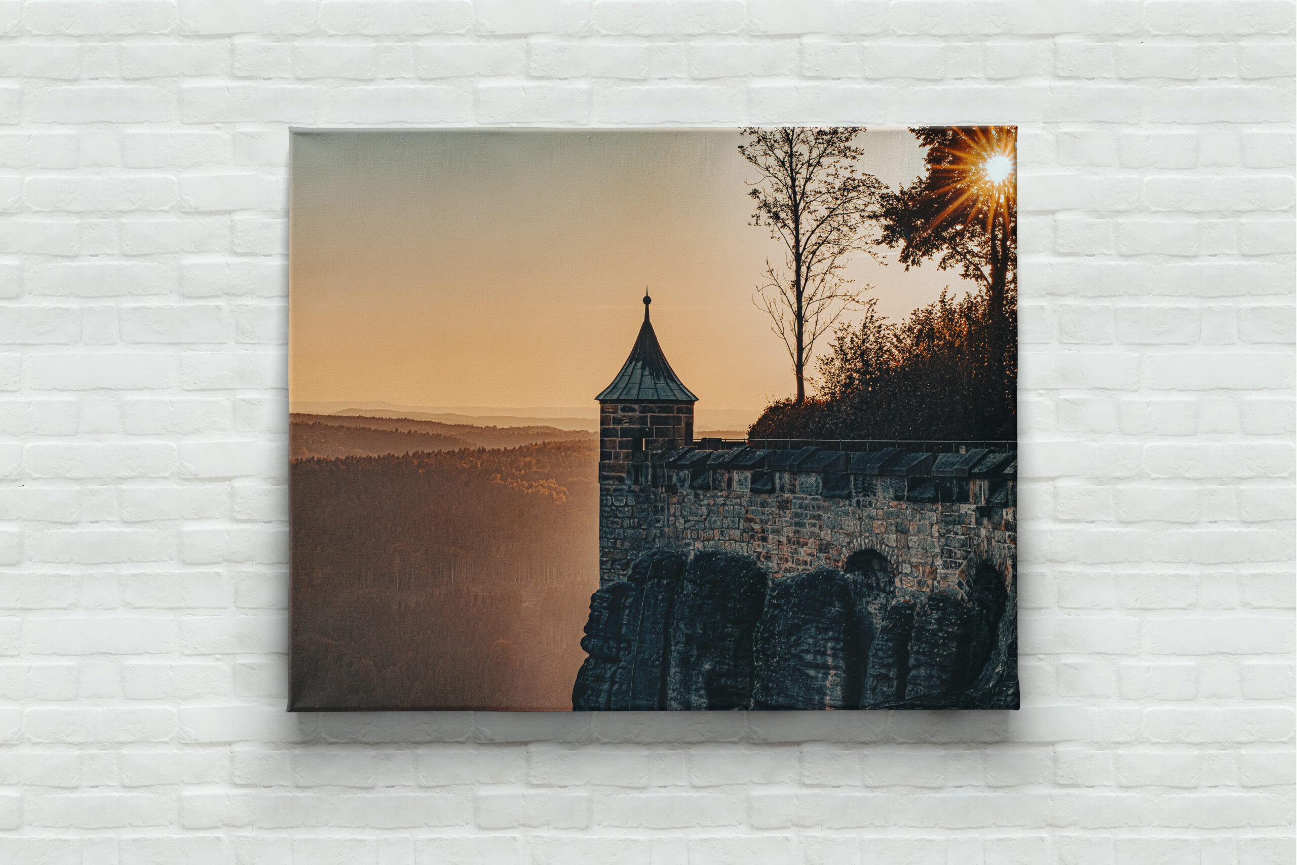 raxxa Canva: Festung Königstein
