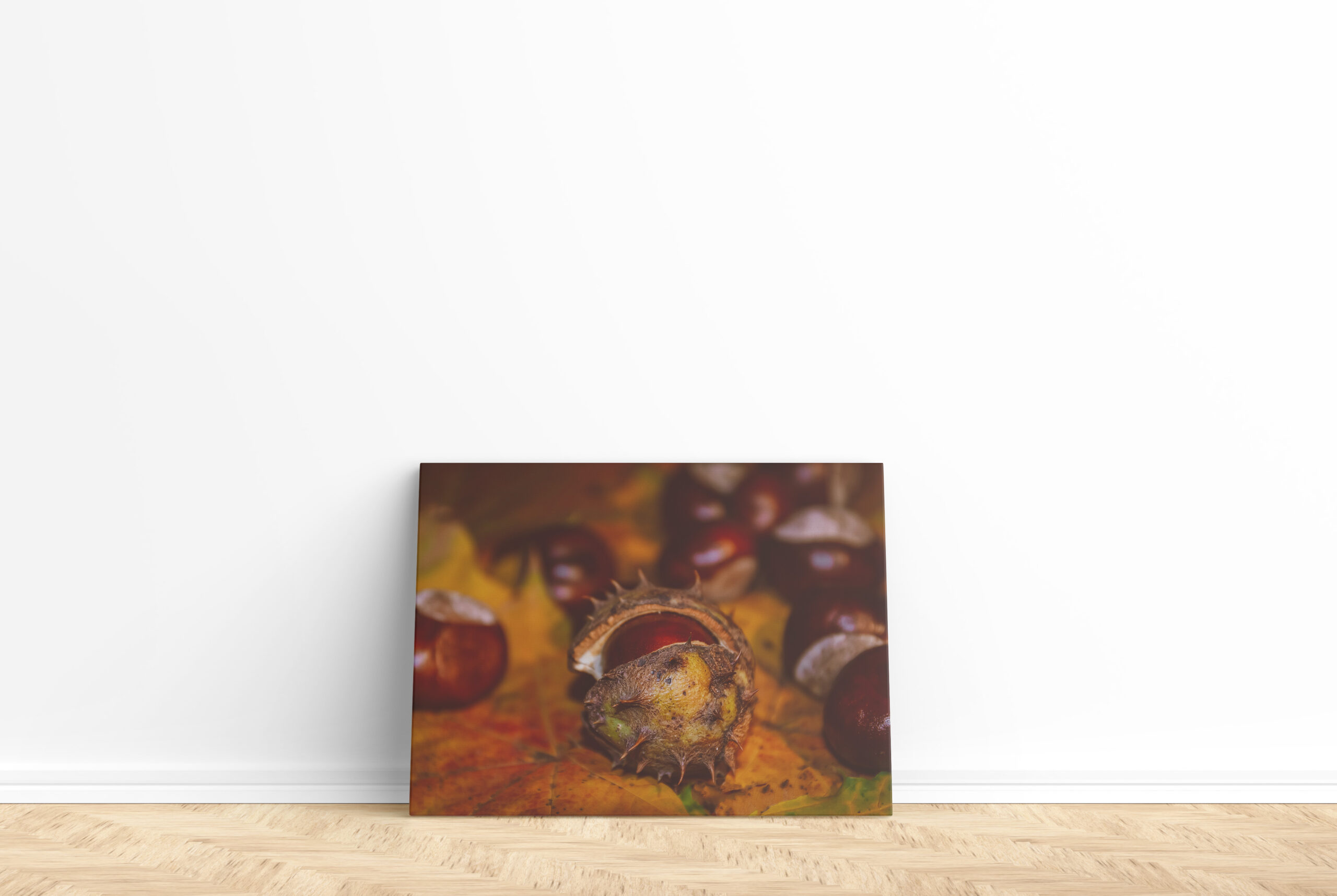 raxxa Canva: Neues Bild - immagine 2
