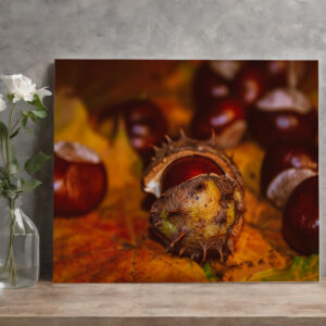 raxxa Canva: Neues Bild