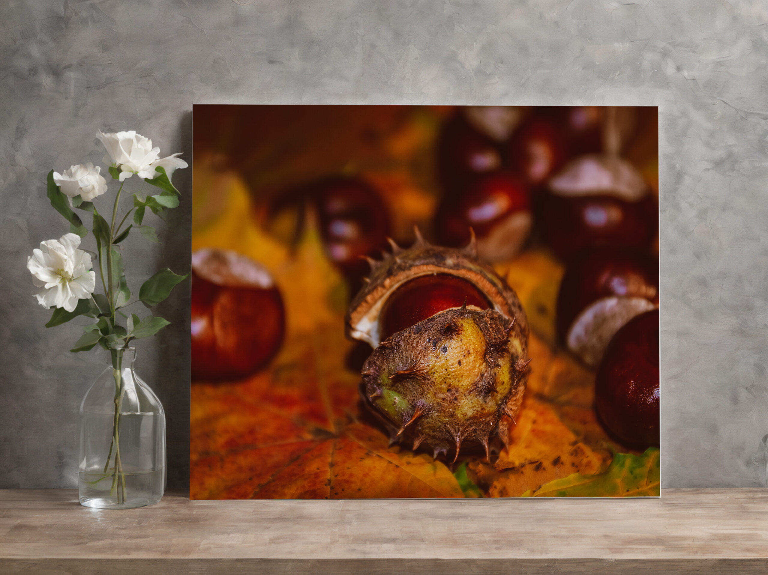 raxxa Canva: Neues Bild