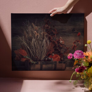 raxxa Canva: Neues Bild