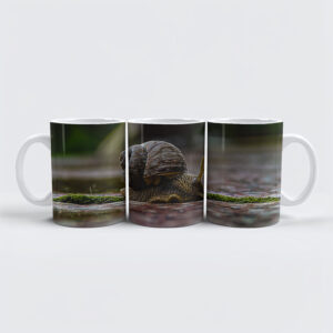 raxxa Premium-Tasse: Schnecke