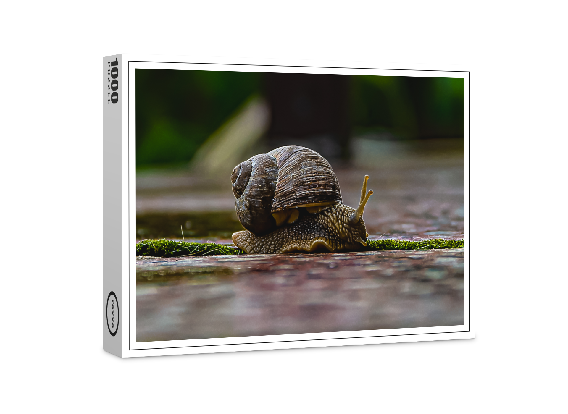 raxxa Premium-Puzzle: Schnecke
