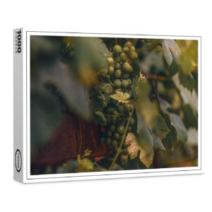raxxa Premium-Puzzle: Carpe vinum!